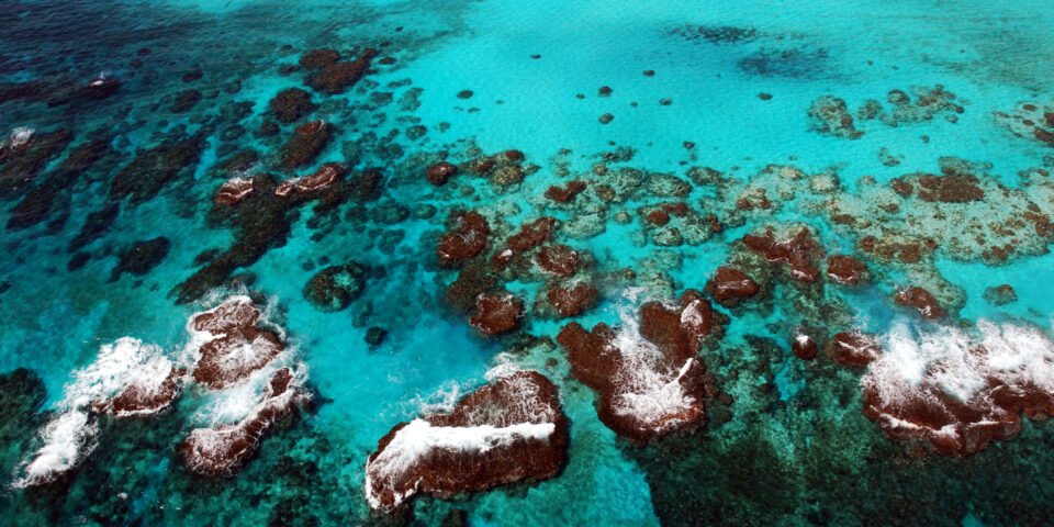 Imagen de atolones cozumel, islas cozumel, mar caribe de fondo, mar turquesa cozumel